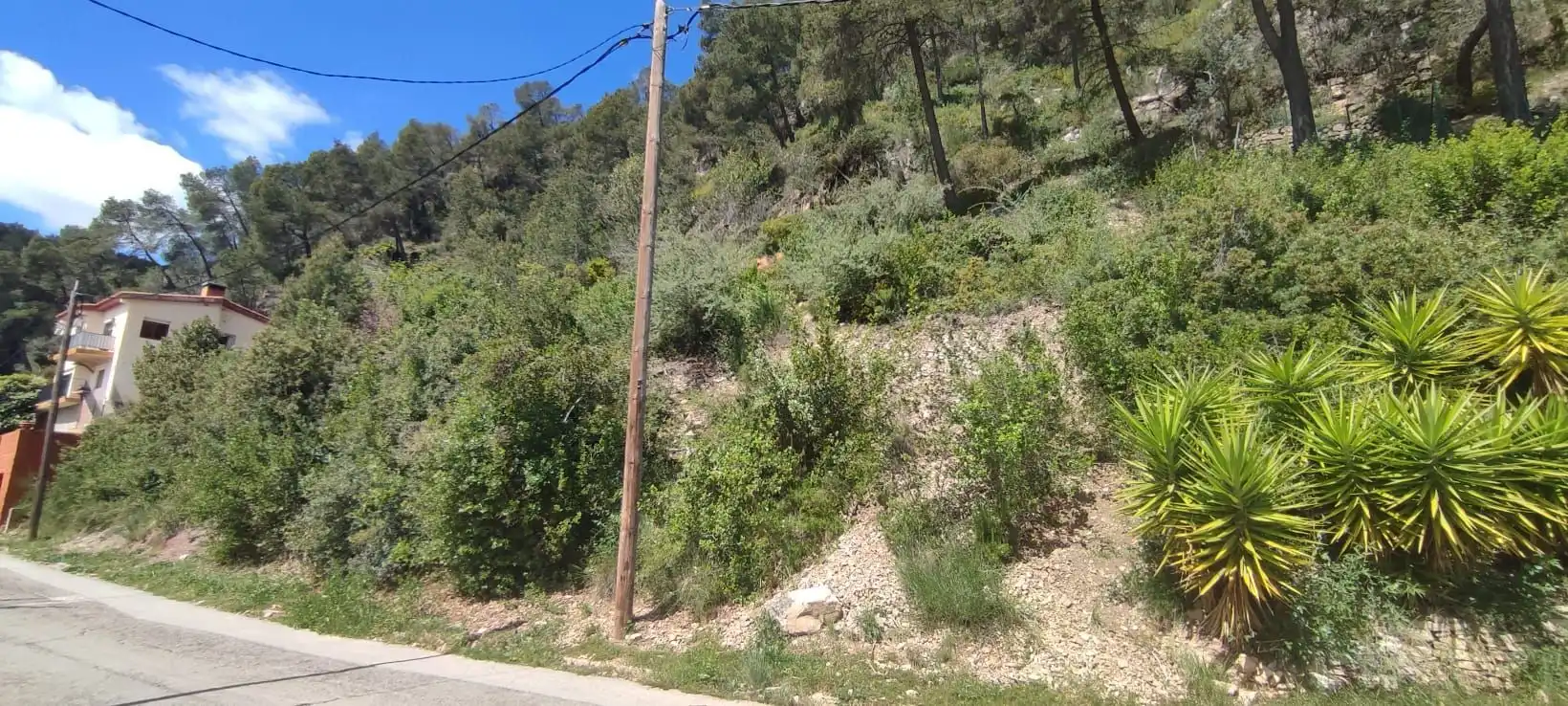 Lands and plots for sale in Vallirana, imagen 7