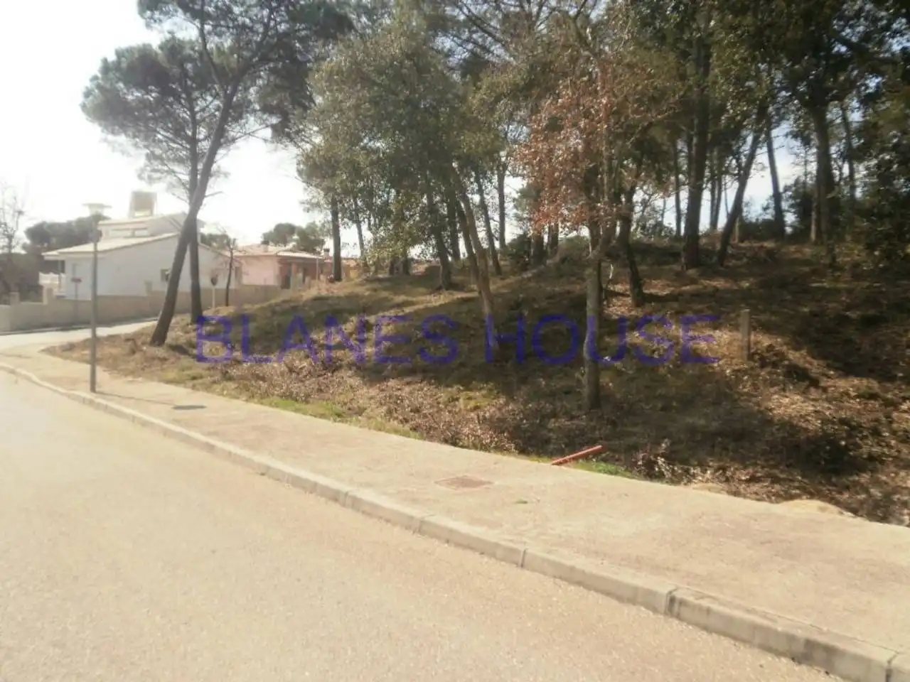 Terreno rústico en venta en La Goba, imagen 2
