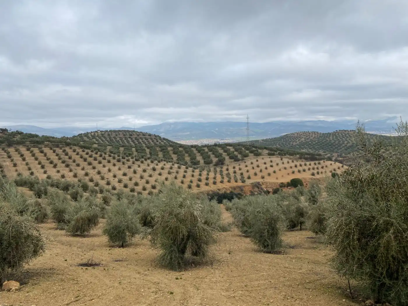 Casa rustica in vendita a Huétor Tájar, imagen 29