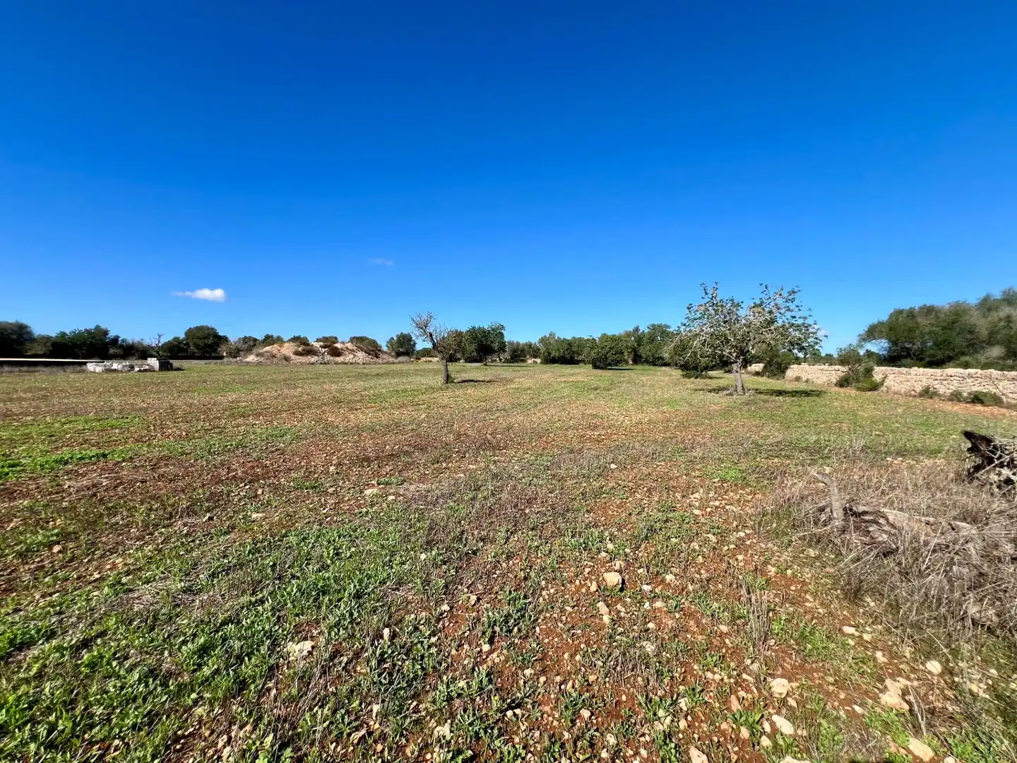 Lands and plots for sale in Zona Rústica - Interior, imagen 15