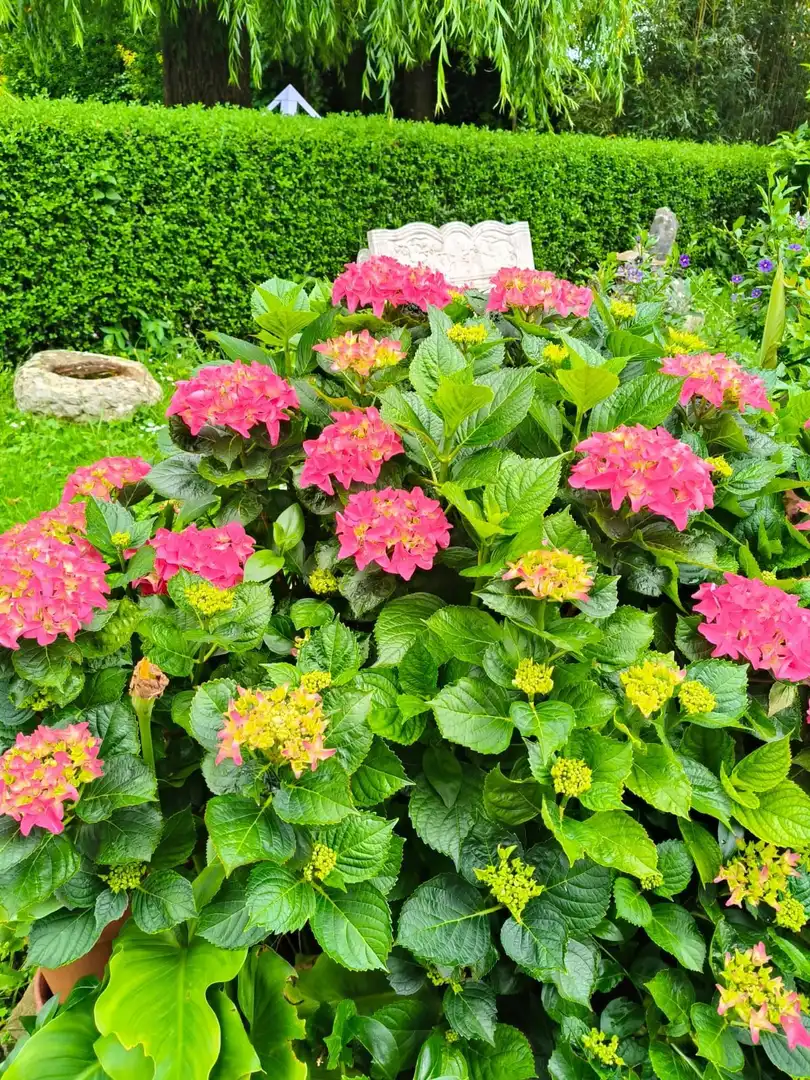 Haus mit Garten zum Verkauf in Bedia, imagen 60