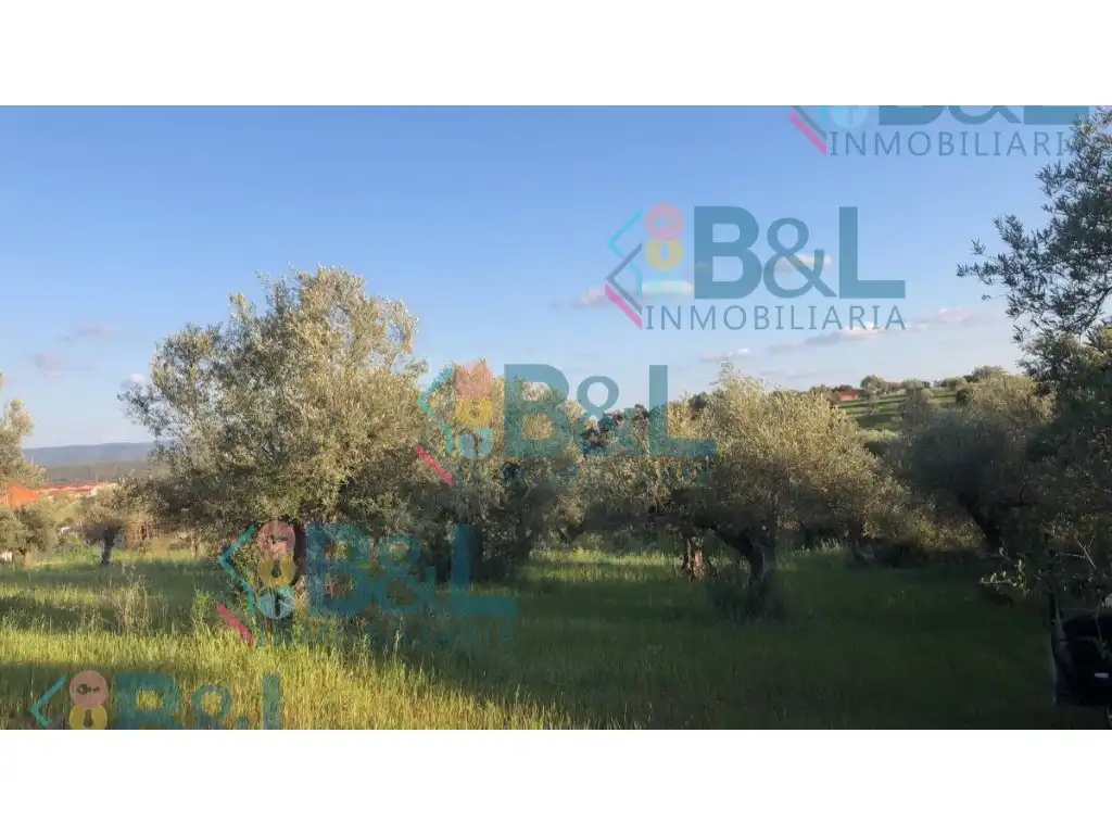 Terrenos y solares en venta en Rosal de la Frontera, imagen 11
