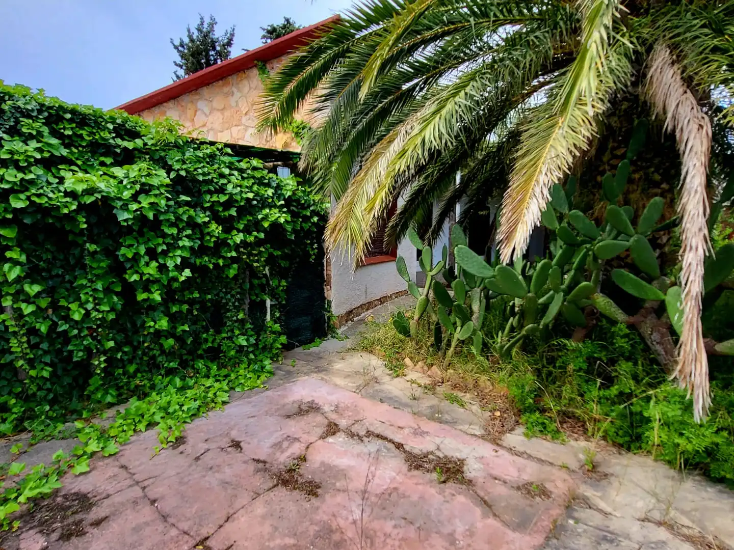 Jardí de Casa o xalet en venda en Torredembarra amb Jardí privat, Terrassa i Moblat