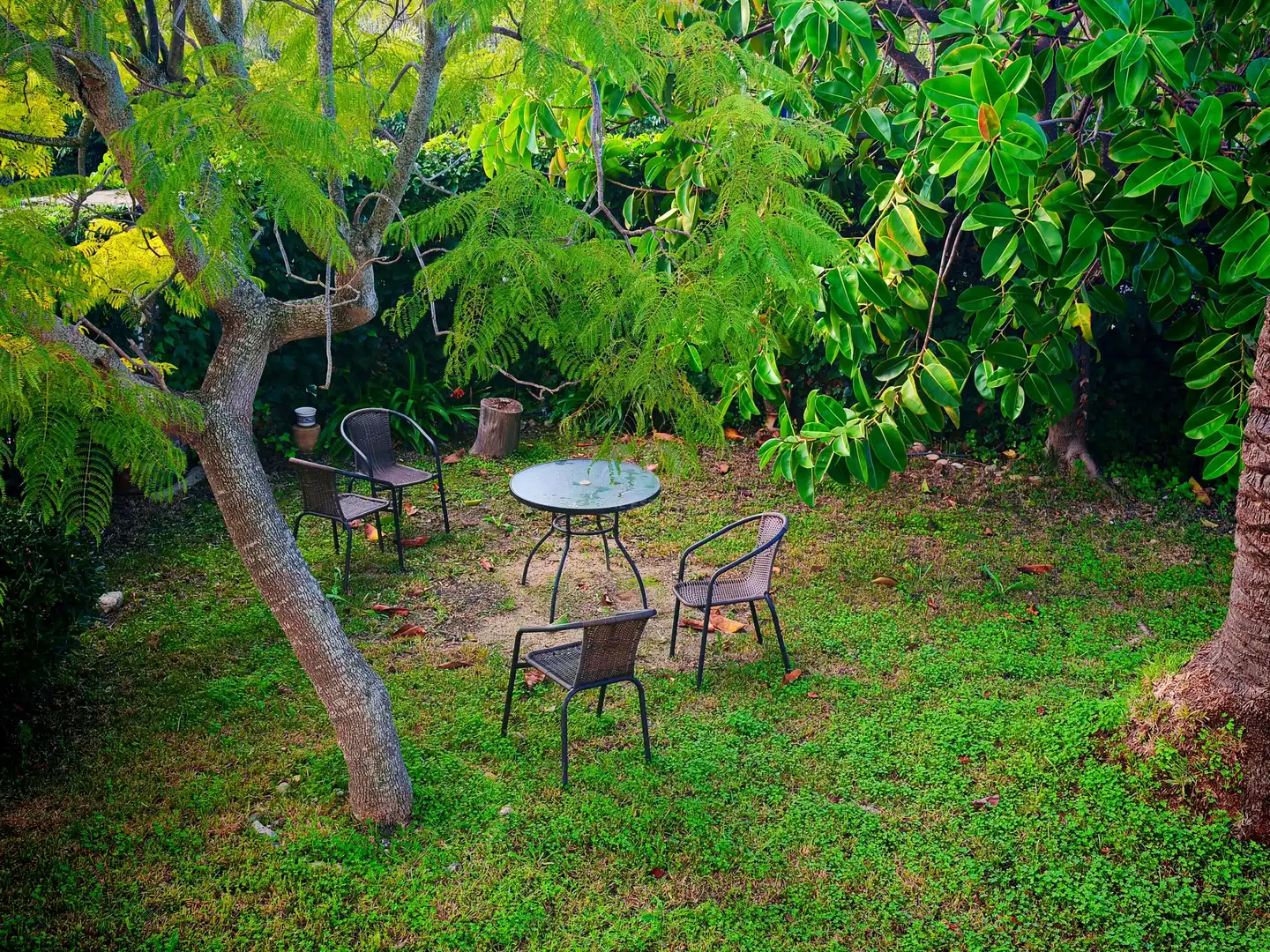 Garden of Houses for sale in  Palma de Mallorca