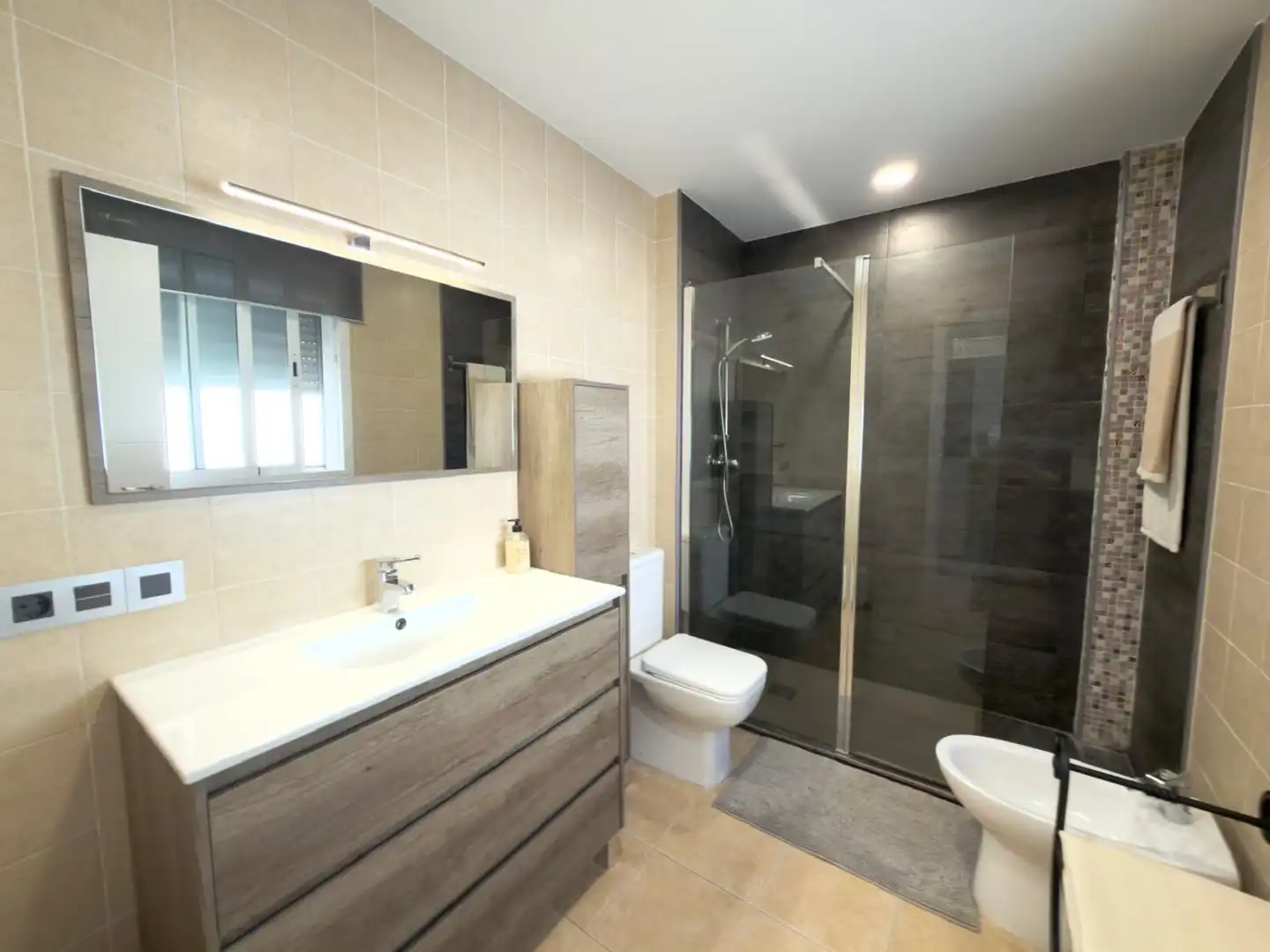 Baño de Casa o chalet en venta en Los Molinos