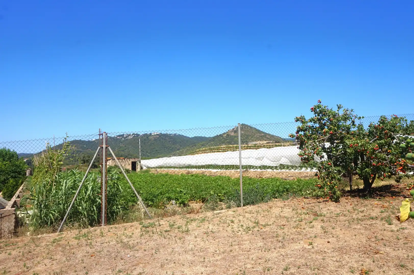 Houses for sale in Pineda de Mar  with Heating, Private garden and Terrace