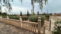 Jardí de Casa o xalet en venda en San Vicente del Raspeig / Sant Vicent del Raspeig amb Piscina