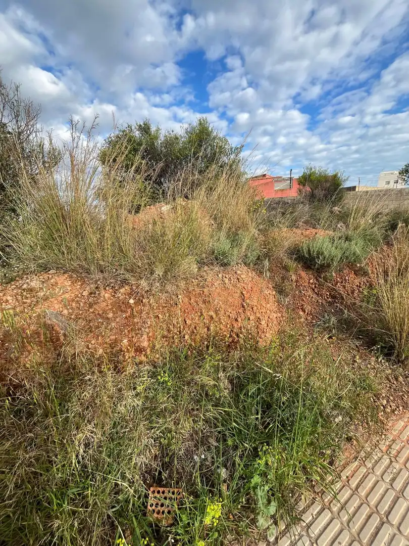 Residential land for sale in Betxí, imagen 7
