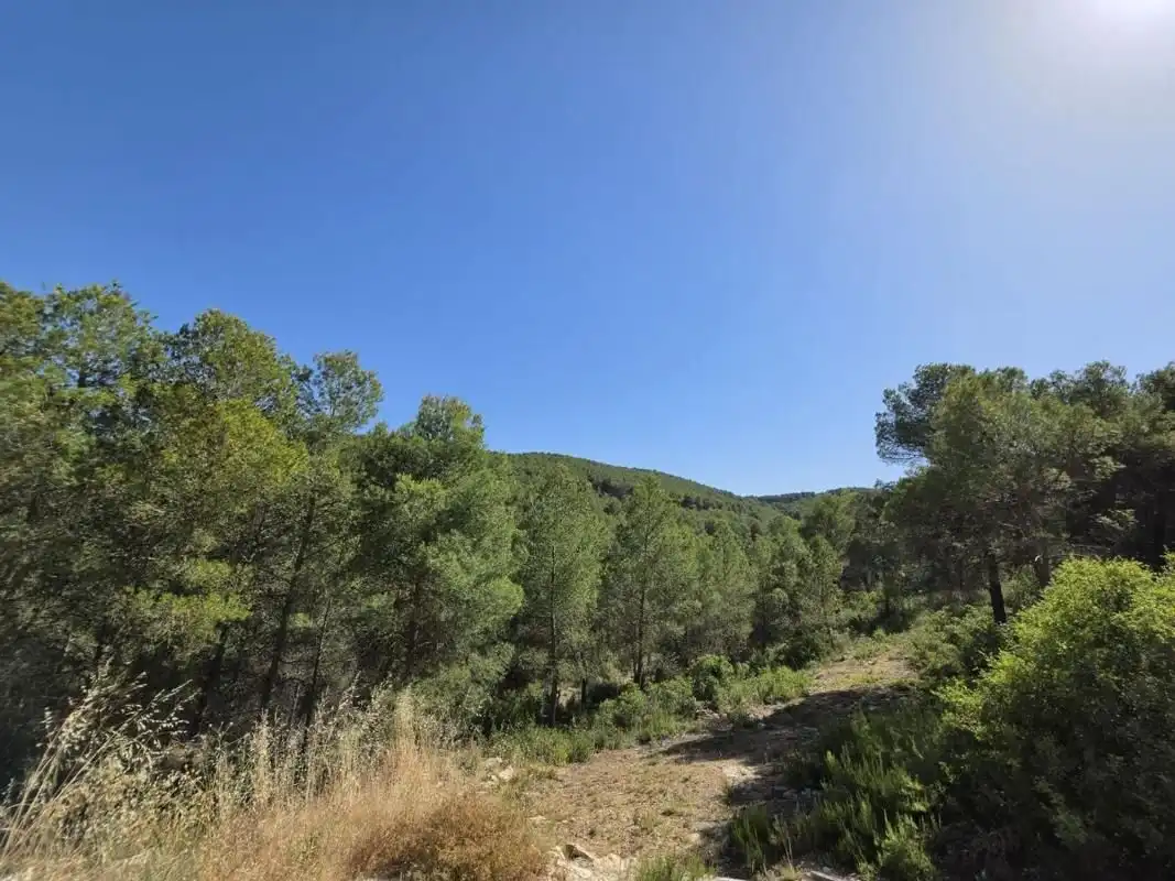 Houses for sale in Las Virtudes