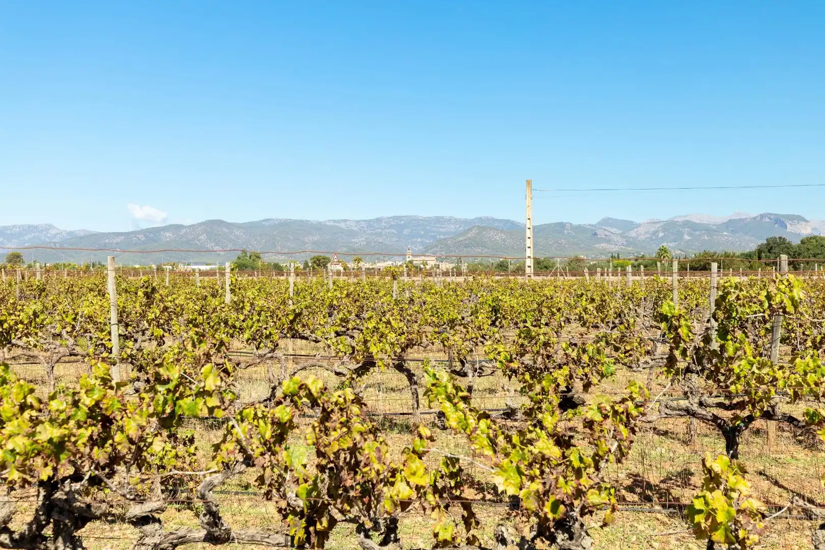 Terreno rustico in vendita a Camino POLIGONO 5, imagen 15