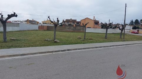 Santa OlivaTerreno, imatge 5
