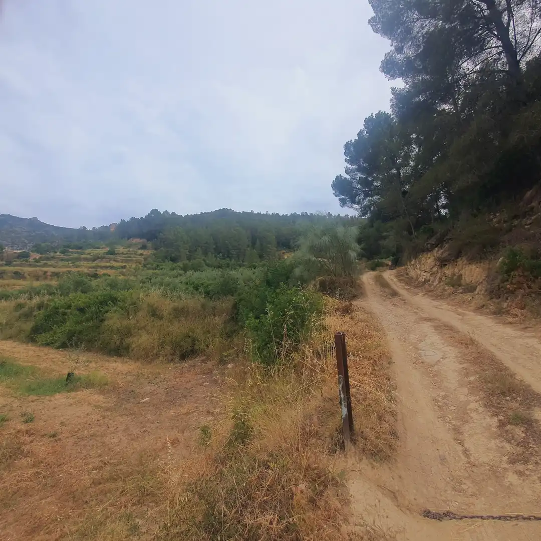 Terreno rústico en venta en Benifallet, imagen 6