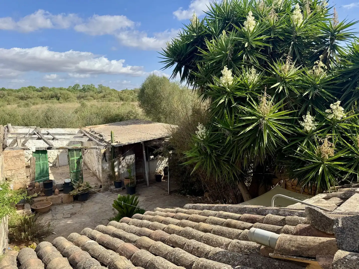 Finca rústica en venta en PLATÓ, 4, Ses Salines Poble