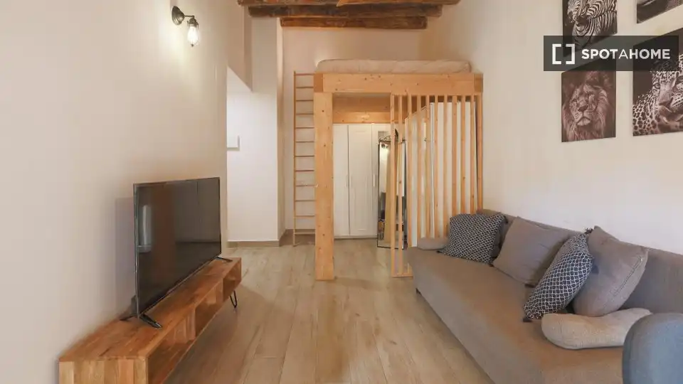 Flat with terrace to rent in Ciutat Vella, imagen 14