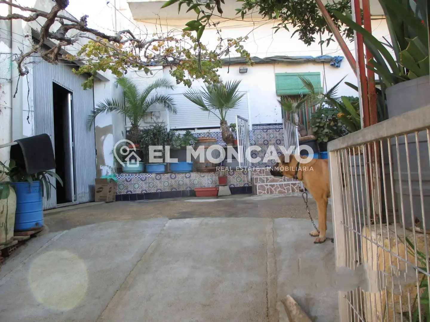 Vista exterior de Casa o chalet en venta en Rojales con Jardín privado, Terraza y Trastero