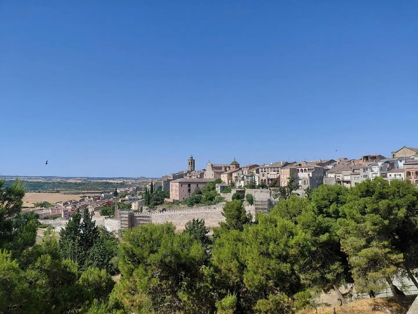 Grundstücke und Bauplätze zum Verkauf in Cervera, imagen 19