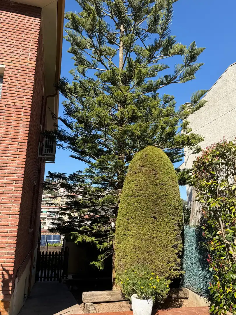 Vista exterior de Casa o xalet en venda en Cervelló amb Calefacció, Jardí privat i Parquet