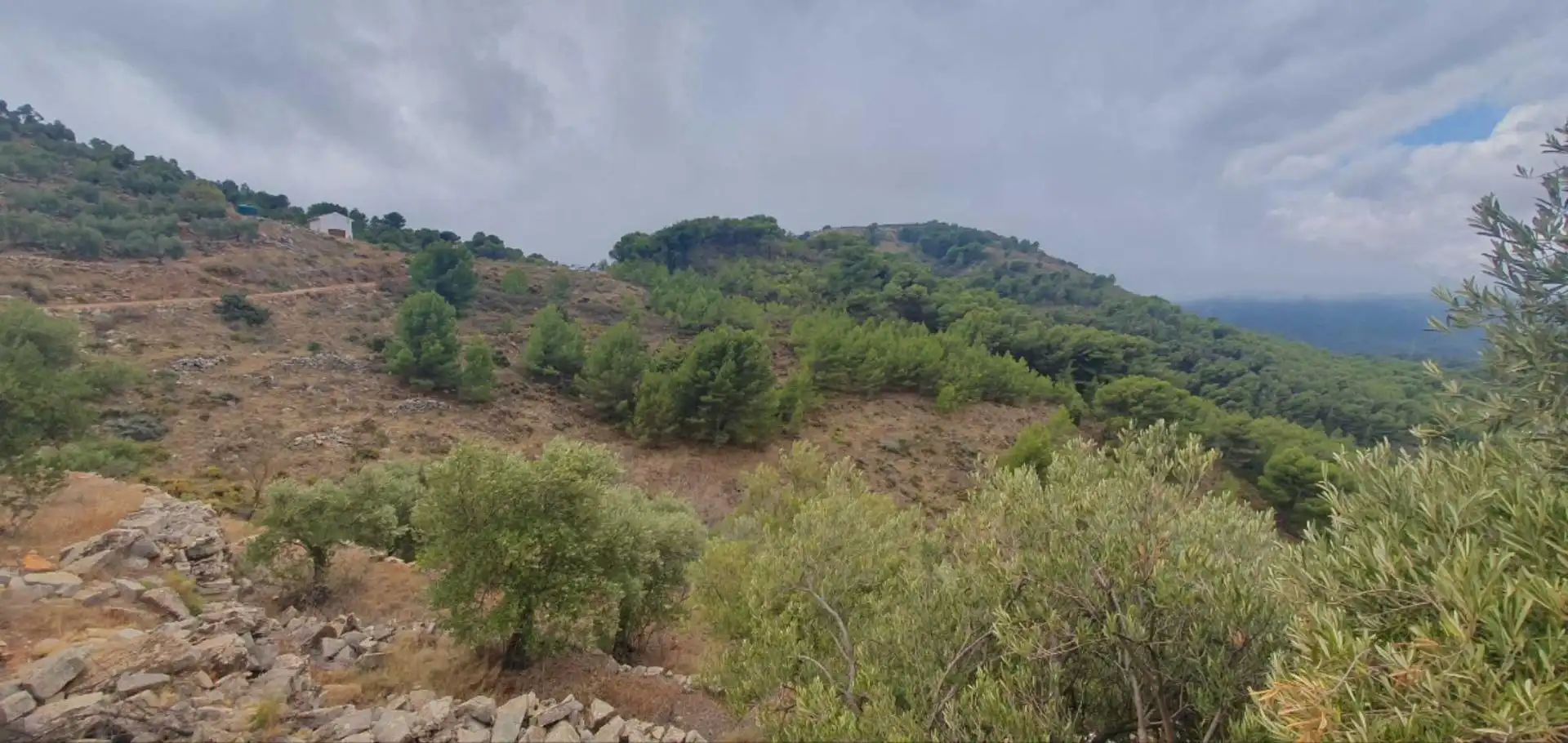Terrenos y solares en venta en Yunquera, imagen 4