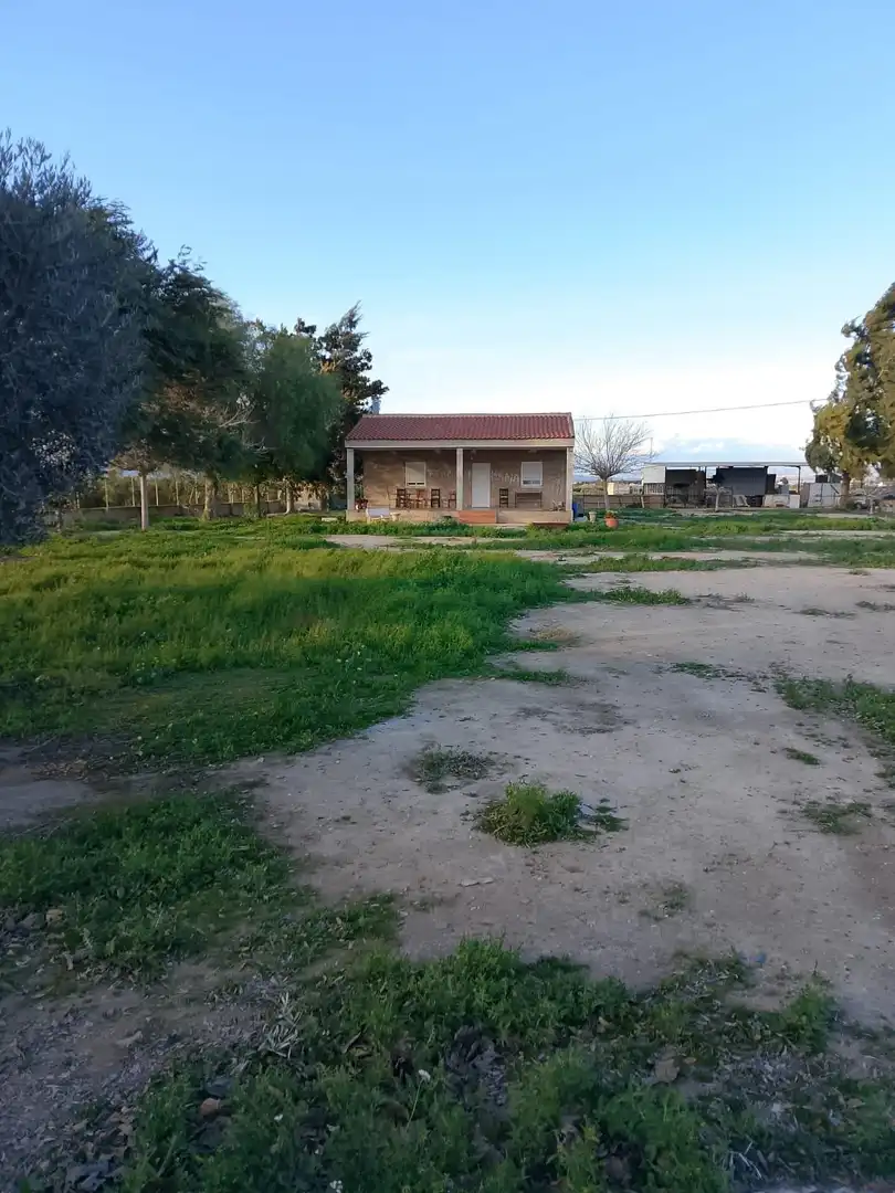 Finca rústica en venta en Daya Nueva