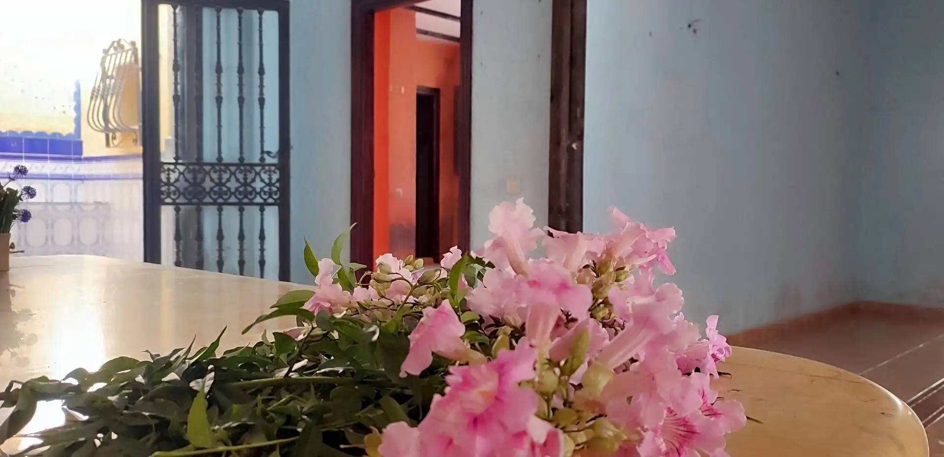 Casa o chalet en venta en Cantoria con Jardín privado, Terraza y Piscina