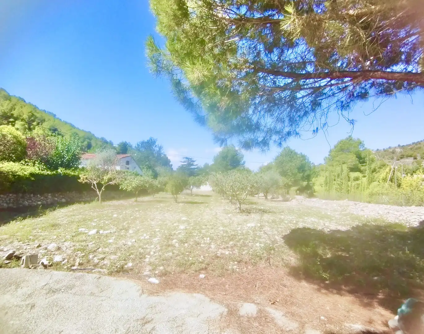 Houses for sale in Petrer  with Private garden and Swimming Pool
