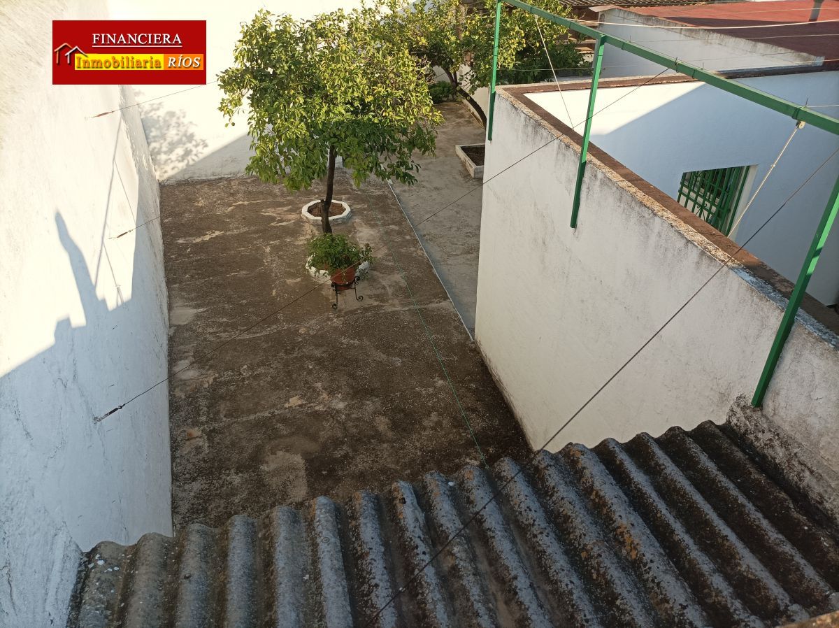 Jardí de Casa o xalet en venda en Alcalá de Guadaira