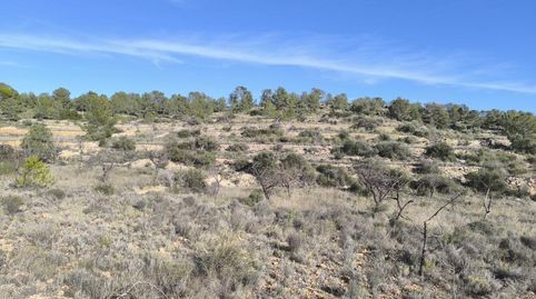 Foto 2 de Terreno en venta en Polígono 57 Parcela 58, Sax, Alicante