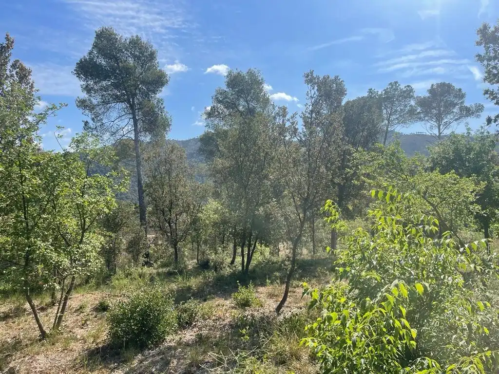 Terrenys i solars en venda a La Torre de Claramunt, imagen 4