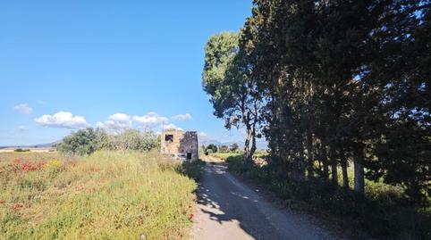 Foto 3 de Finca rústica en venda a Calle Poligono 4, Llubí, Illes Balears