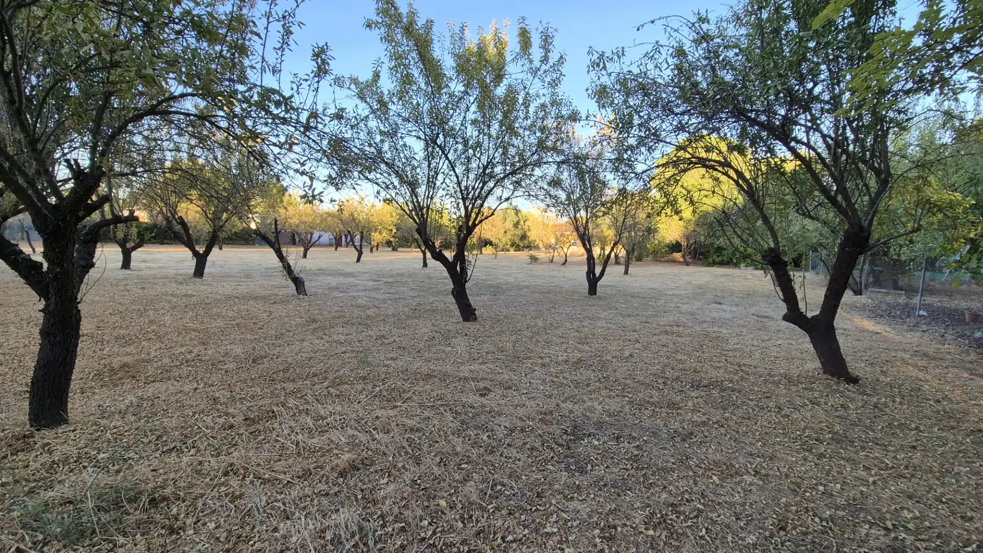 Xalet amb jardí en venda a Dehesilla Calamón, imagen 25