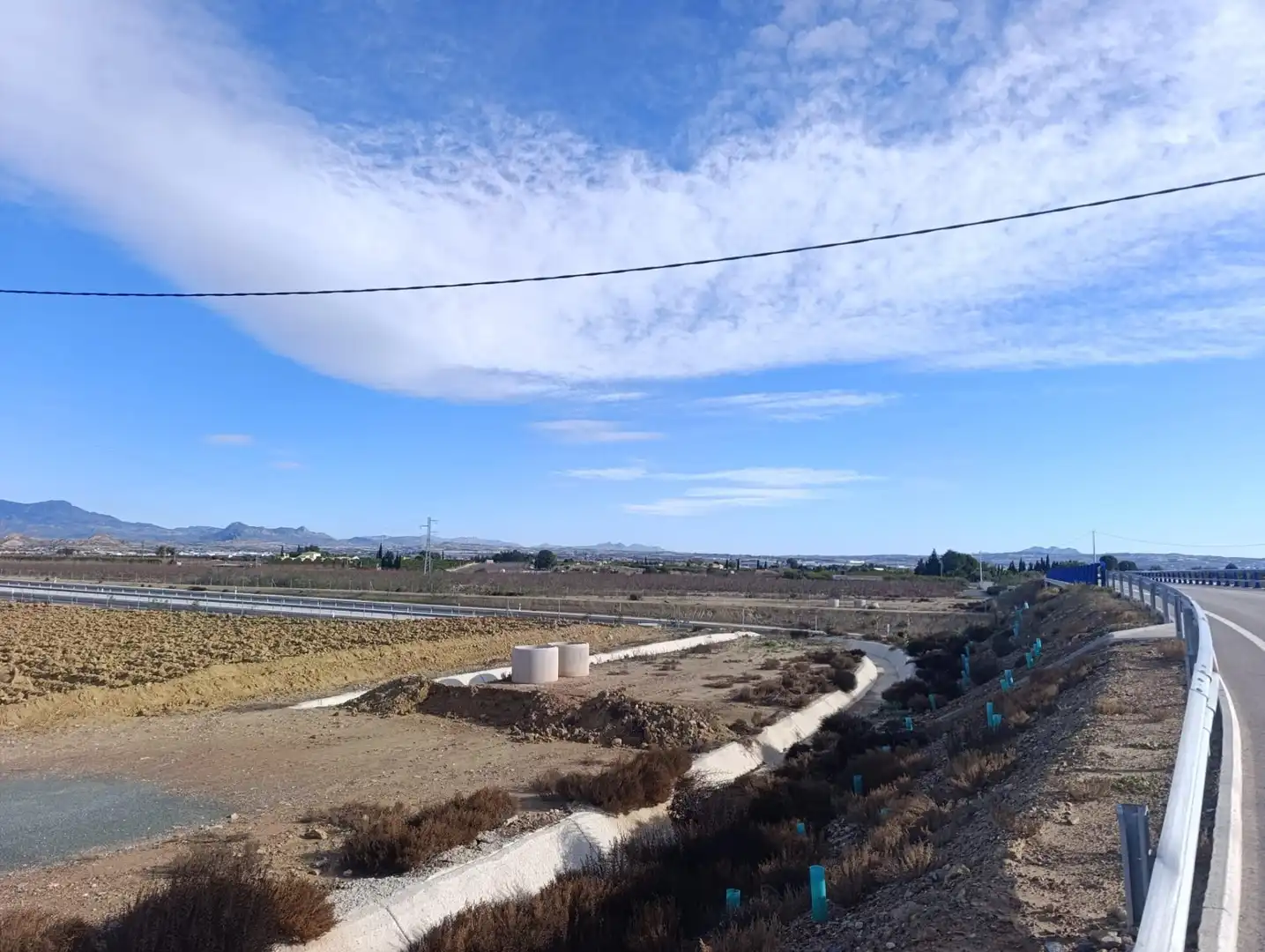 Terreny rústic en venda a Ceutí, imagen 10