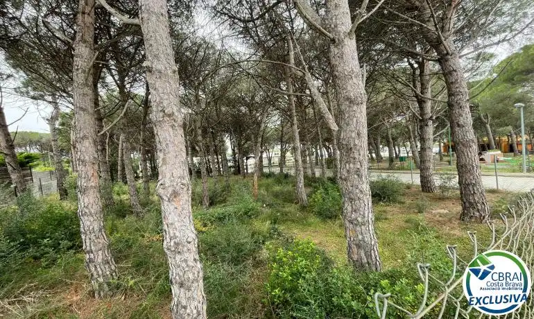 Terrenys i solars en venda a Nord, imagen 17