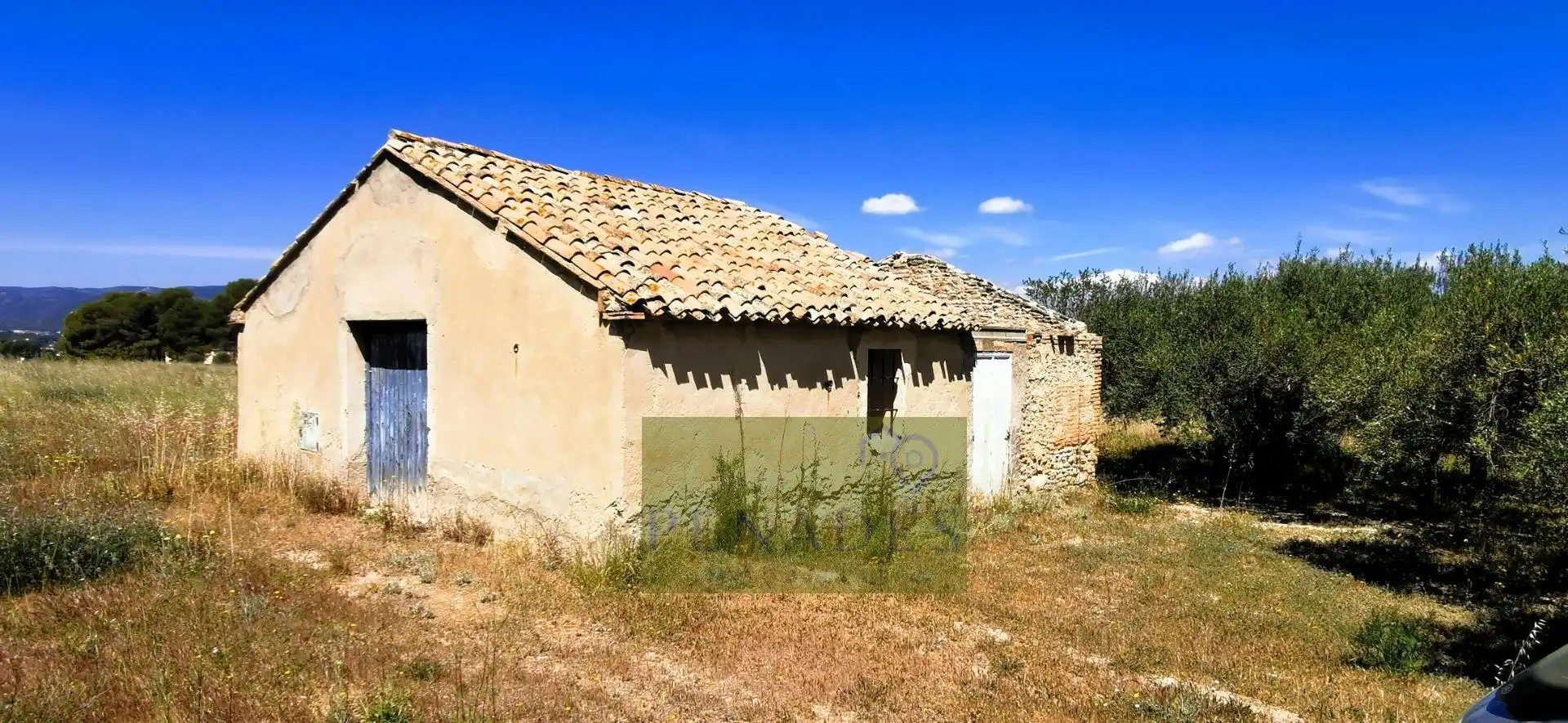 Terrain rustique à vendre à Centro