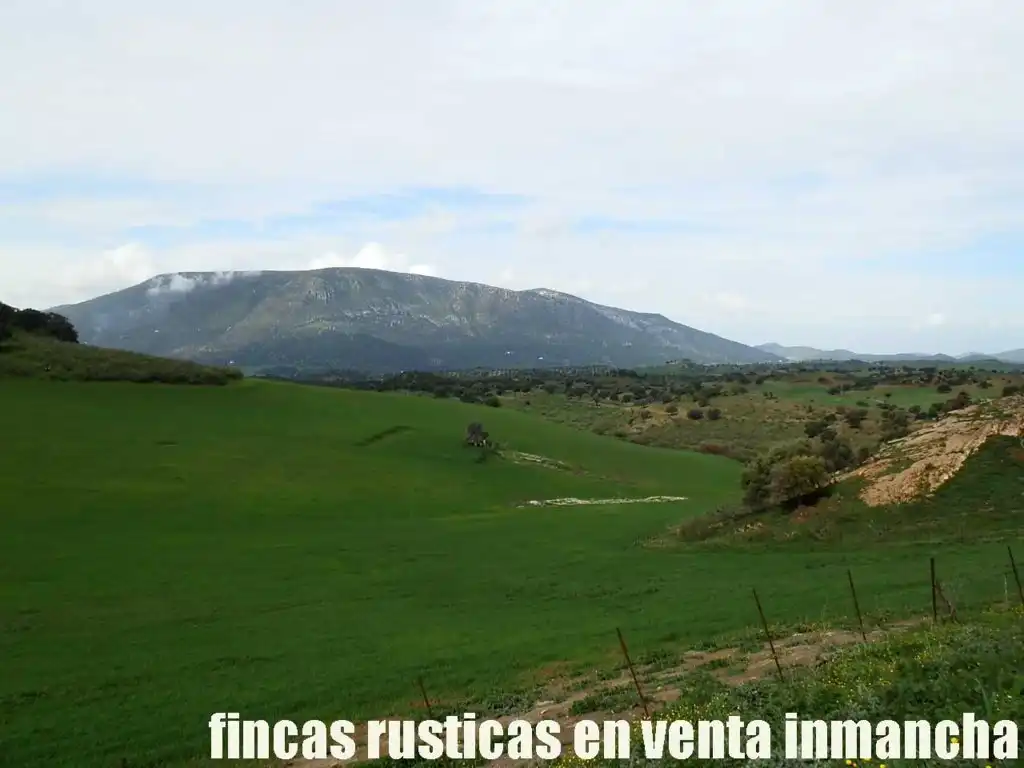 Terreno rustico in vendita a Algodonales