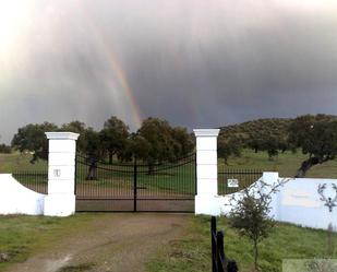 Garten von Residential zum verkauf in Holguera