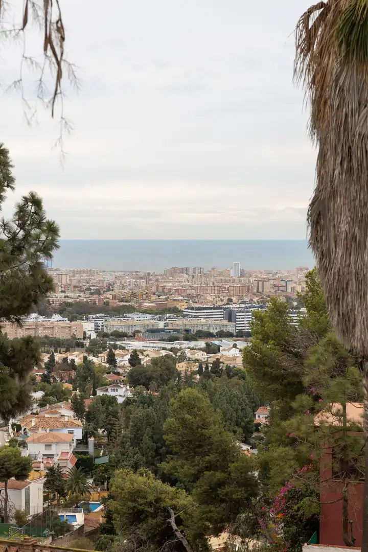 Exterior view of Houses for sale in Málaga  with Terrace