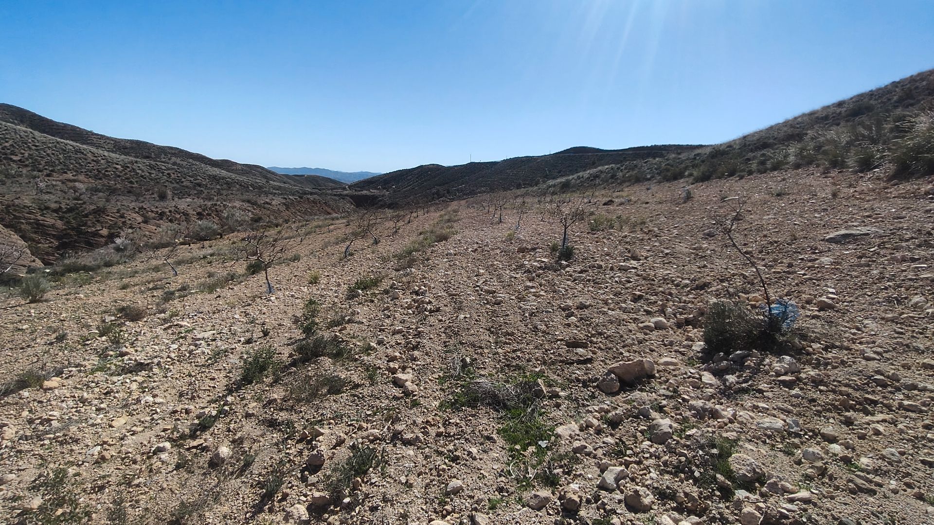 Land for sale in Partaloa