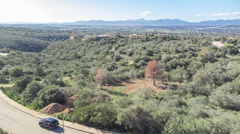 Foto 5 de Residencial en venta en Son Gual Ii-g(no Oficial), 18, Son Gual, Palma de Mallorca