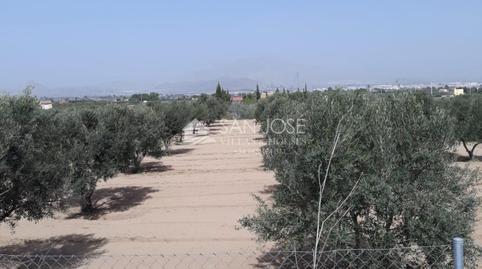 Foto 4 de Casa o chalet en venta en Pedanías Este, Aspe