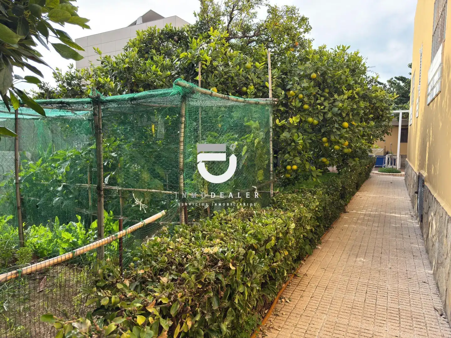 Jardí de Casa o xalet en venda en Oliva amb Jardí privat, Terrassa i Piscina