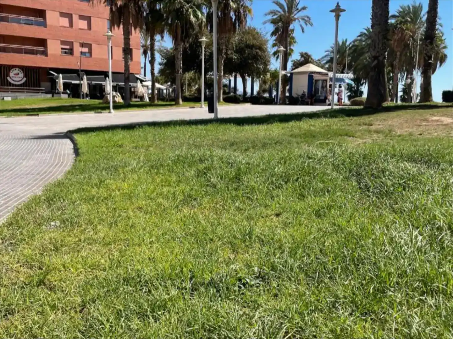 Geschaftsraum zur Miete in Málaga