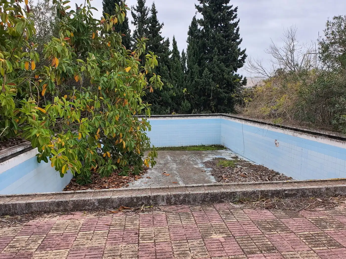 Villa à vendre à Centro, imagen 13