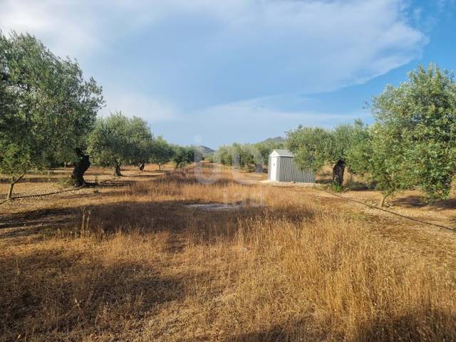 Terreno residencial en Venta en Ginestar