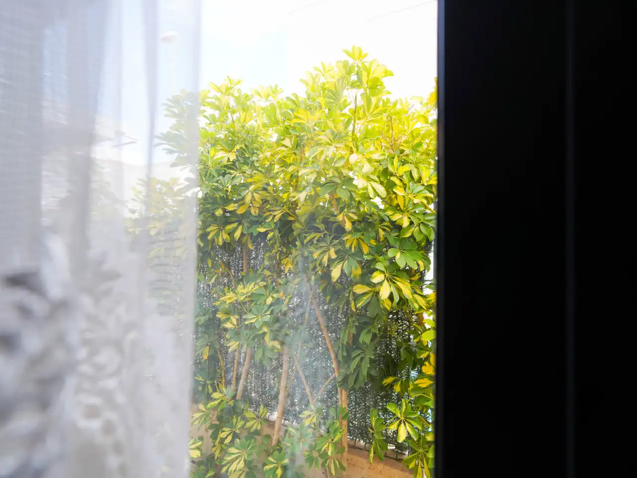 Garden of Houses for sale in Rojales  with Air Conditioner, Heating and Private garden