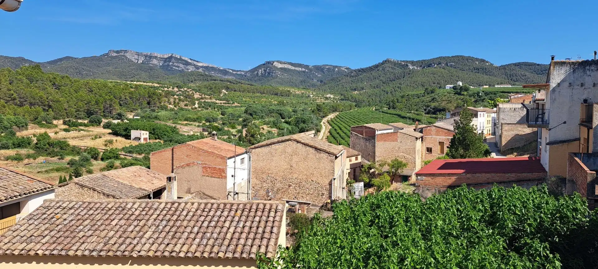 Vista exterior de Casa o chalet en venta en Tivissa con Terraza, Amueblado y Balcón