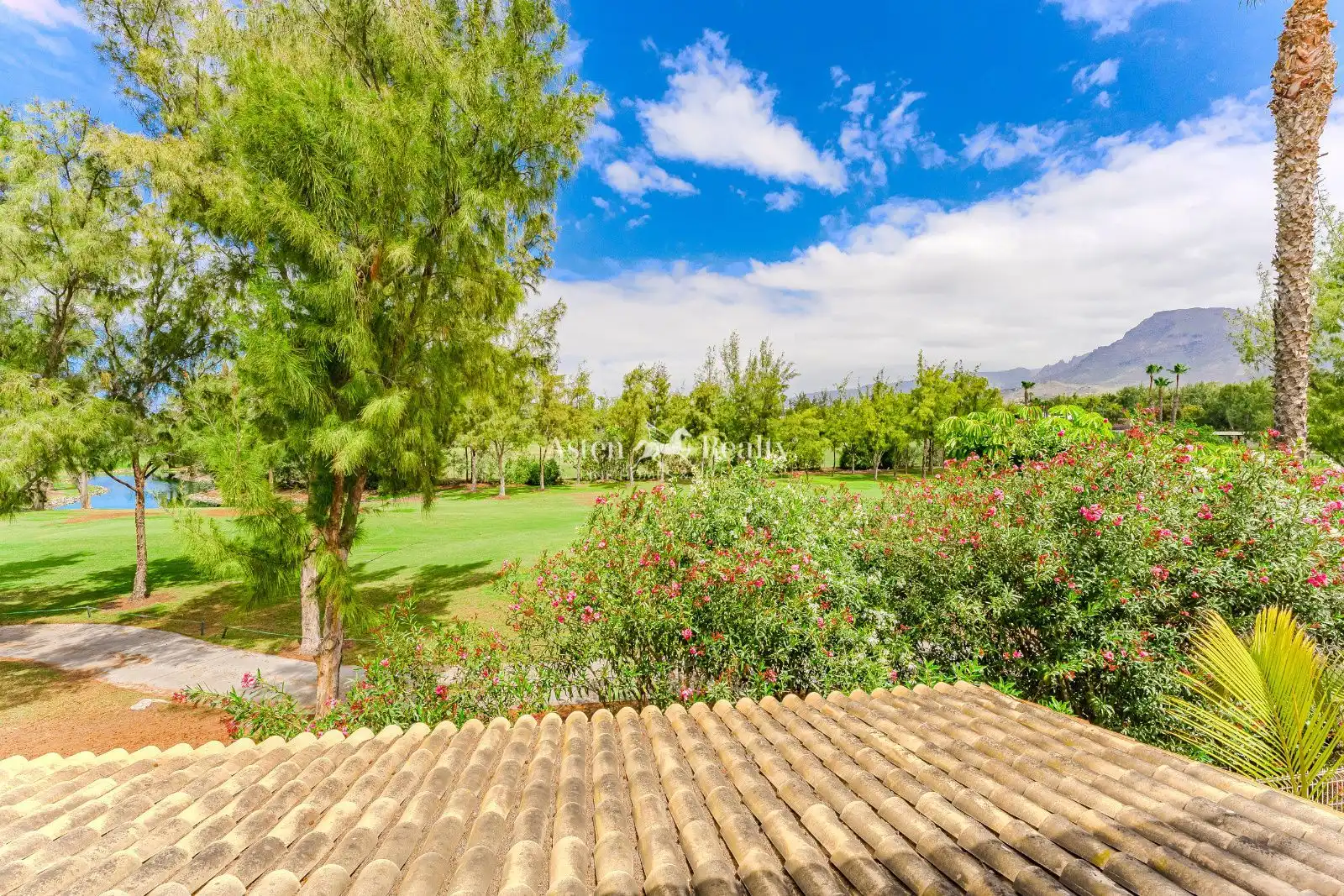 Jardín de Casa o chalet en venta en Arona con Jardín privado, Terraza y Trastero