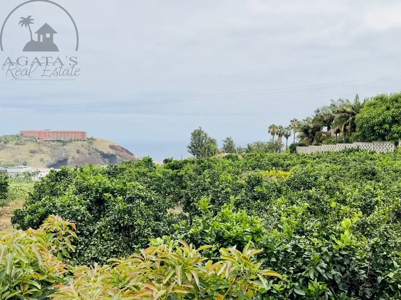 Finca rústica en venta en La Orotava con Jardín privado y Terraza