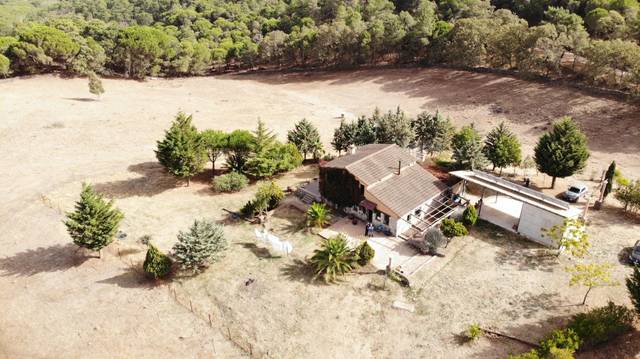 Finca rústica en Venta en Calera de León