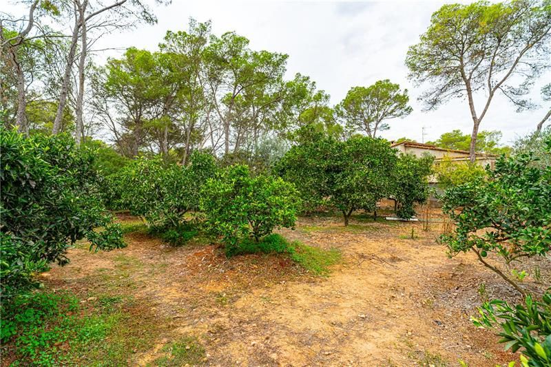 Finca rústica en venda a Algaida