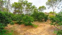 Country house zum verkauf in Algaida mit Privatgarten und Terrasse